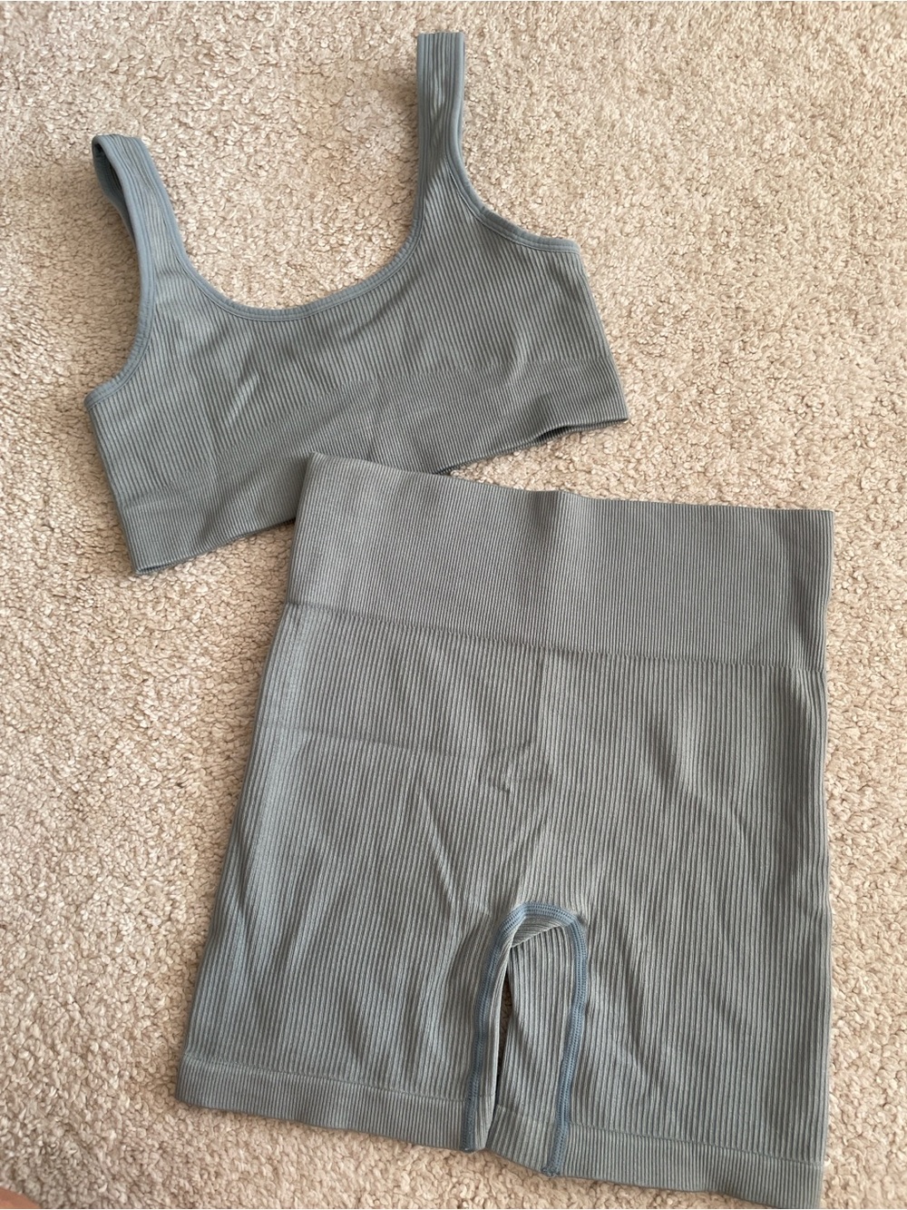 Ribbed Scoop Sports Bra and High-Waist Bike Shorts Set - Sage Green